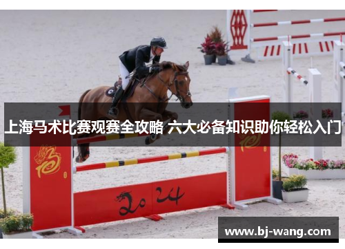 上海马术比赛观赛全攻略 六大必备知识助你轻松入门