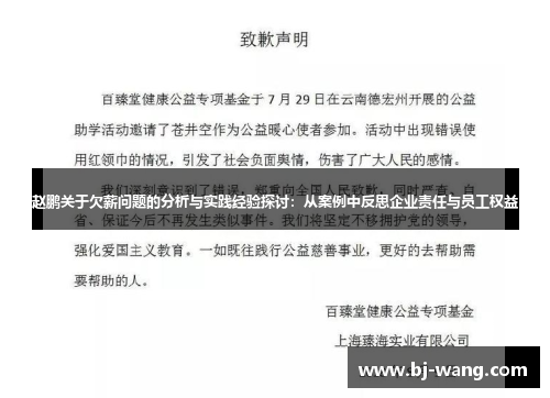 赵鹏关于欠薪问题的分析与实践经验探讨：从案例中反思企业责任与员工权益