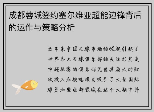 成都蓉城签约塞尔维亚超能边锋背后的运作与策略分析