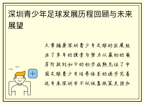 深圳青少年足球发展历程回顾与未来展望